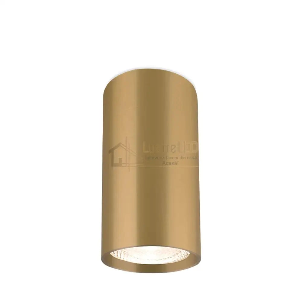 Spot Cilindric Aplicat GAMA Gold 10cm lustreled.ro