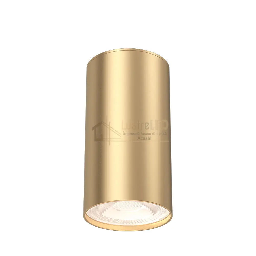 Spot Cilindric Aplicat GAMA Gold 10cm lustreled.ro