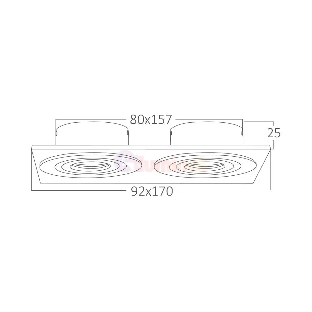 Spot Incastrat Dreptunghiular Fascicul Reglabil Argintiu Dulie 2xMR16 L170xH25mm led ceiling light