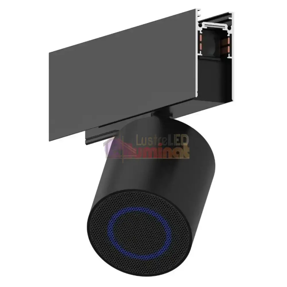 Spot pe Sina cu Boxa Bluetooth Integrata 10W 1050BK lustreled.ro