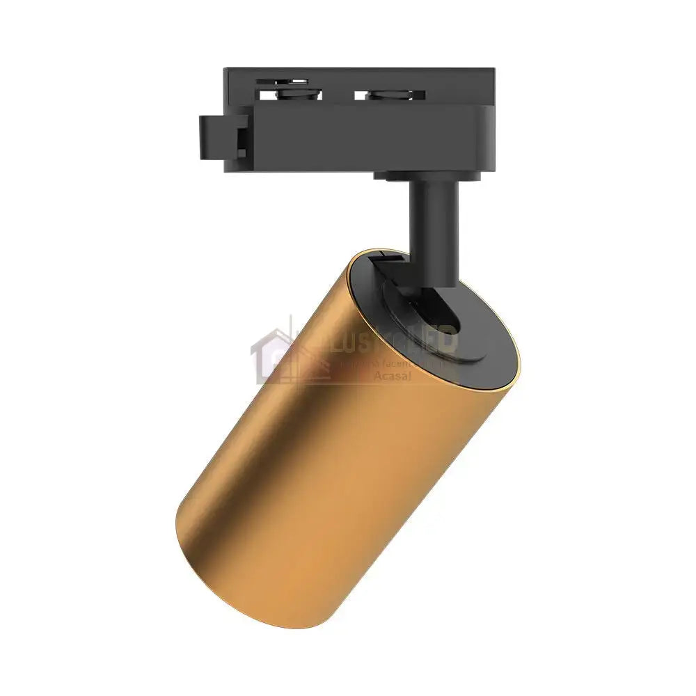 Spot Sina Orientabil Gold & Black Fasung GU10 Ø5.7CM TRACK LIGHT