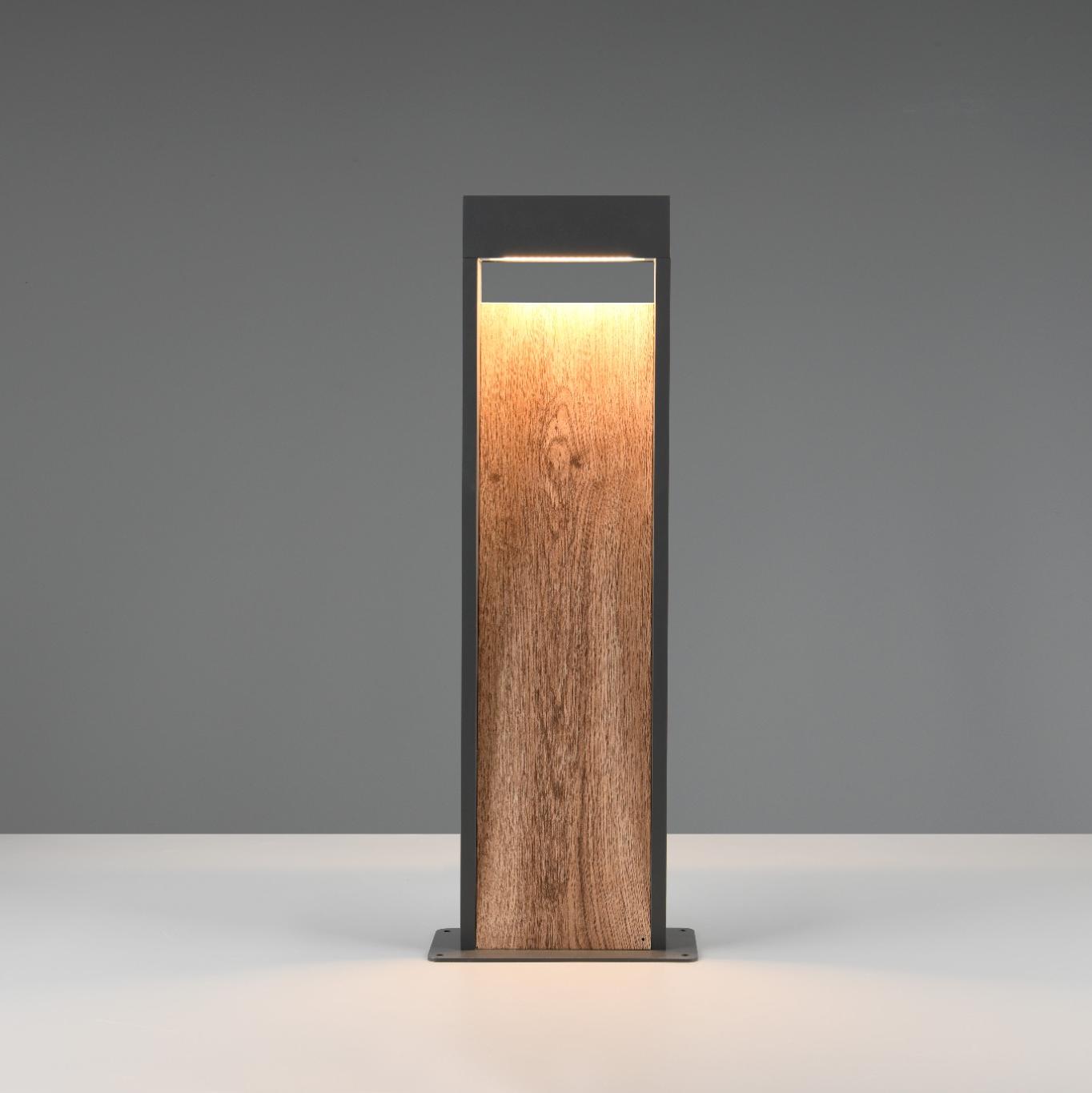 Stalp Ornamental De Gradina LED 11W 60CM SALMON